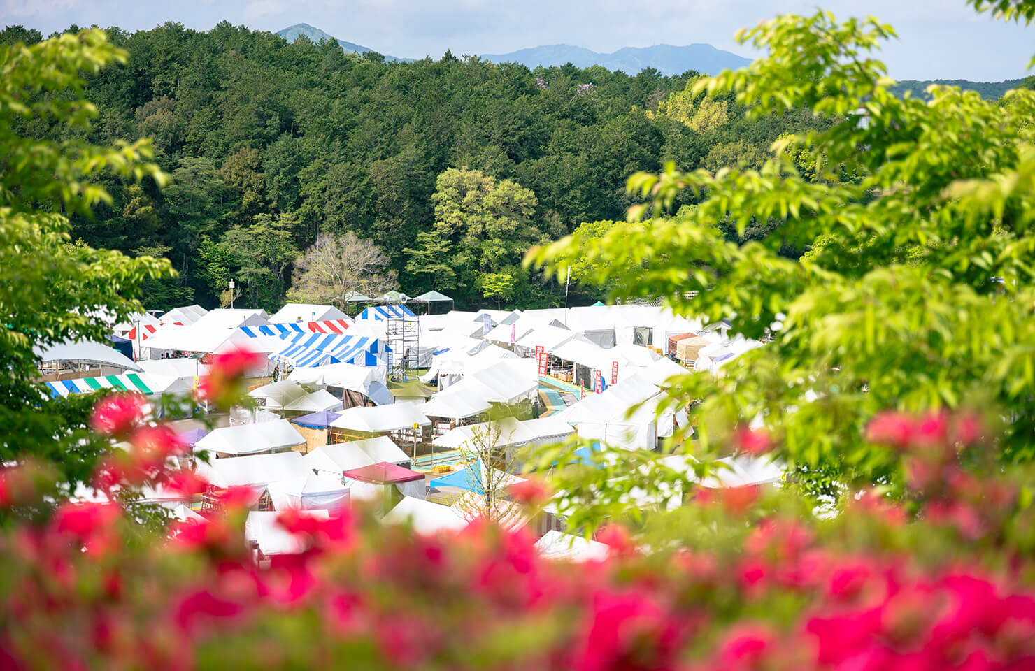 陶炎祭会場 全景